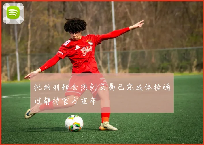 托纳利转会热刺交易已完成体检通过静待官方宣布