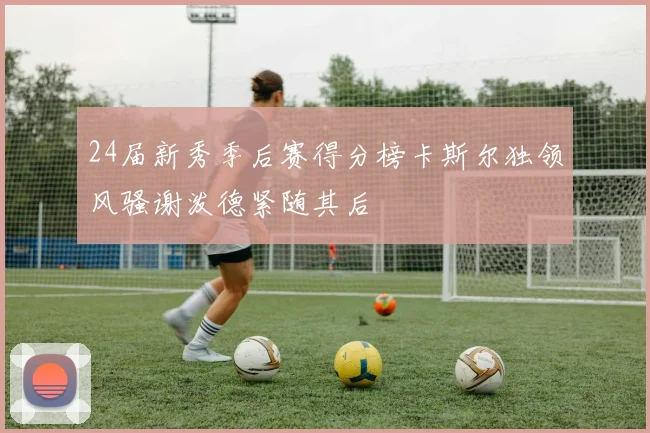 24届新秀季后赛得分榜卡斯尔独领风骚谢泼德紧随其后