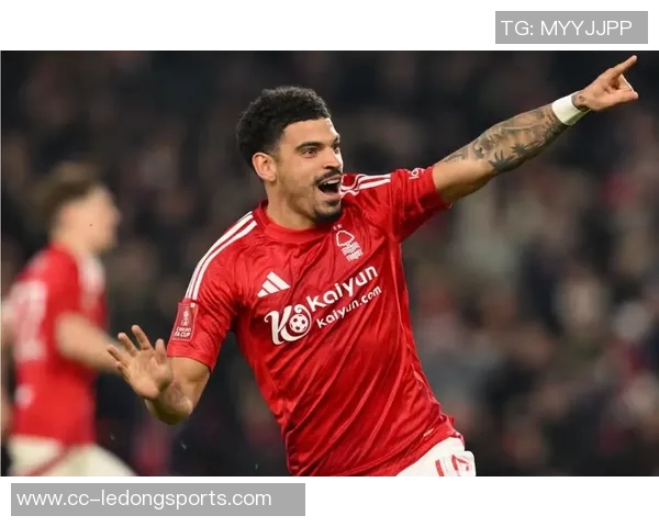 本怀特手术后状态不佳沦为替补球队期待他早日恢复最佳状态